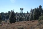Tower