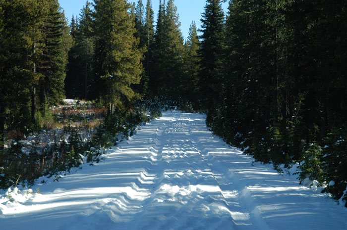 Road