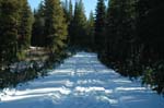 Road