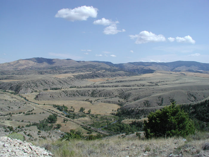 View
