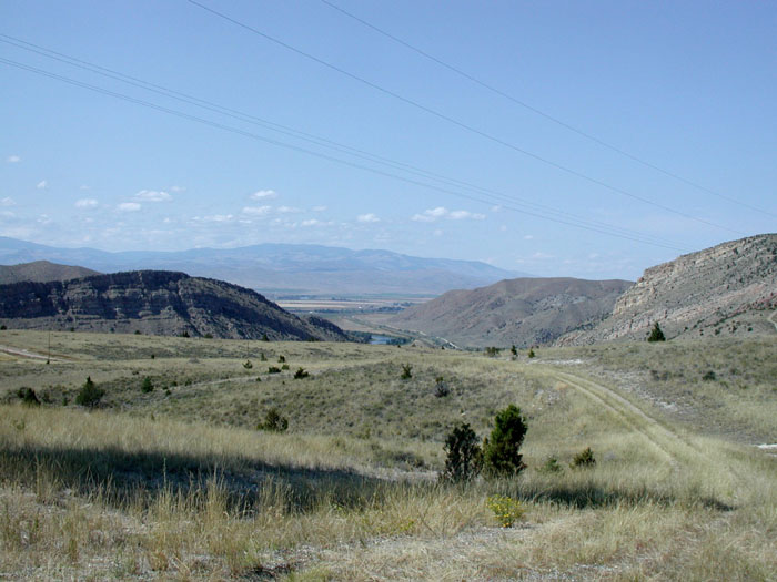 View